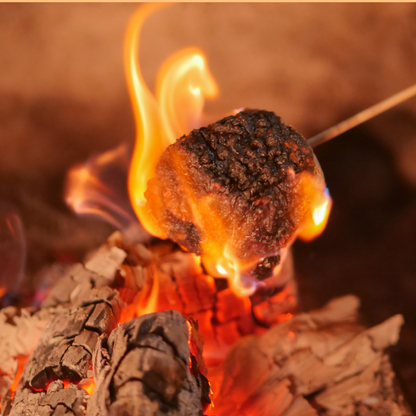 Toasted Marshmallow Wax Melt