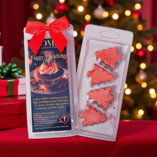 Figgy pudding Wax Melt