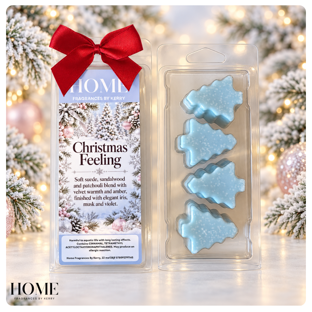 Christmas Feeling  Wax Melts